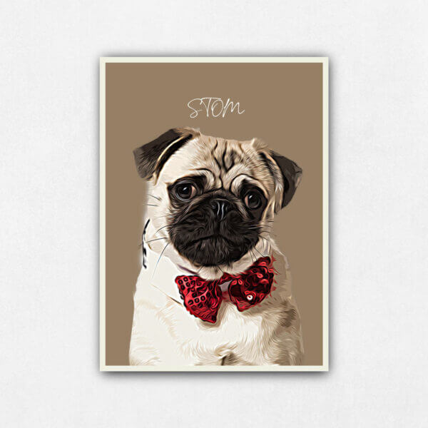 Pet Portrait