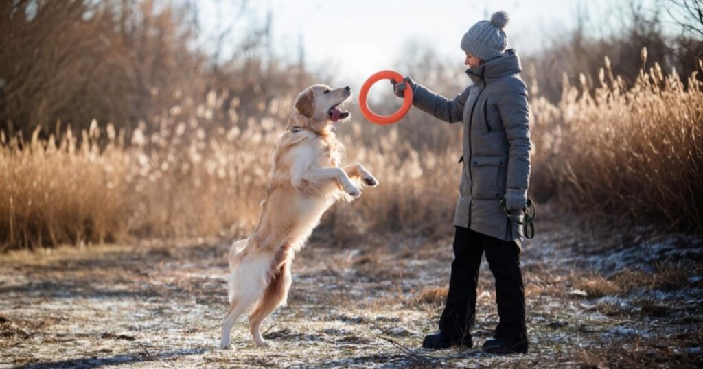 training